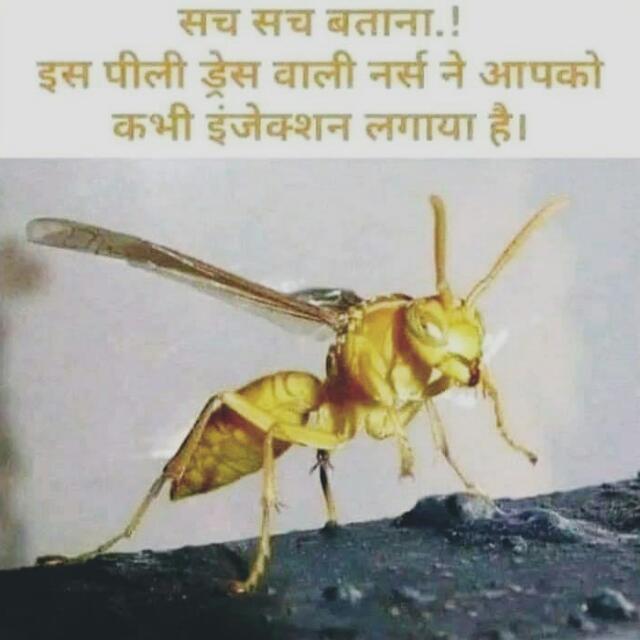 Only sSI Whatsapp group
