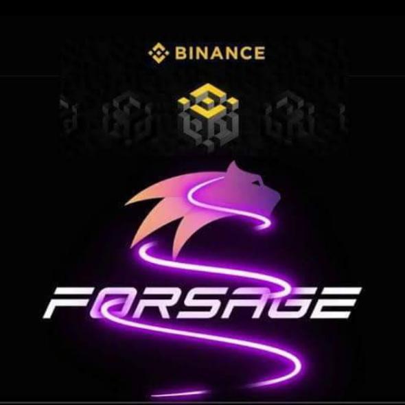 Forsage BUSD Earning??