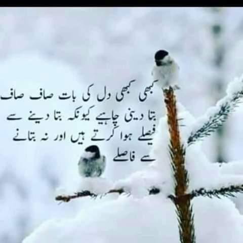 ❤?Love is life ❤?