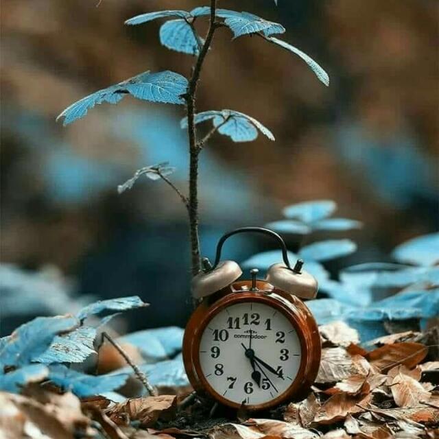 Natural Time Whatsapp group