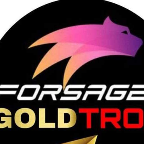 Falcon Team(Forsage.??..)