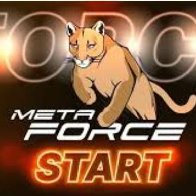 META FORCE & orionmaal online earning