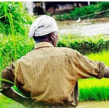 India wins Agri Life???