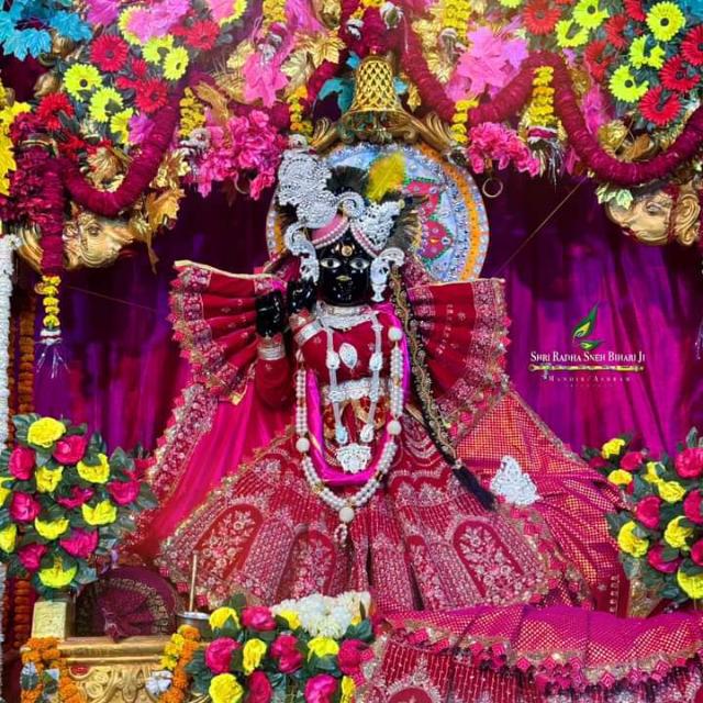 श्री बांकेबिहारीजी परिवार ❤️ वृन्दावन ?