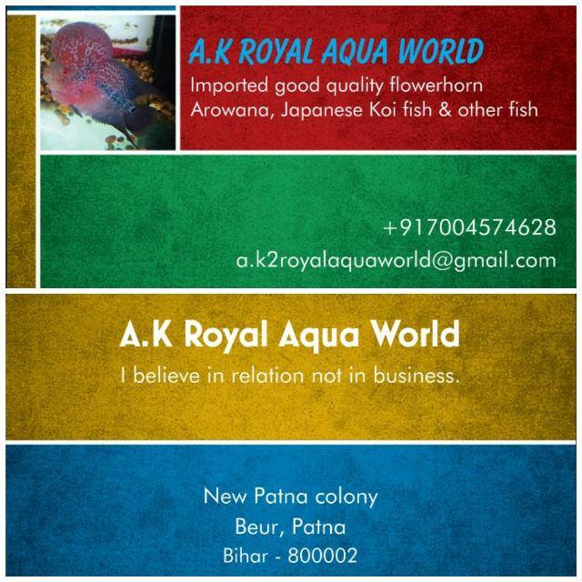 A.K Royal Flowrhorn World