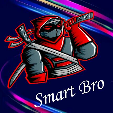 Smart Bro