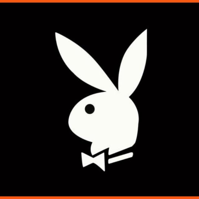 Play Boy Gigolo Job