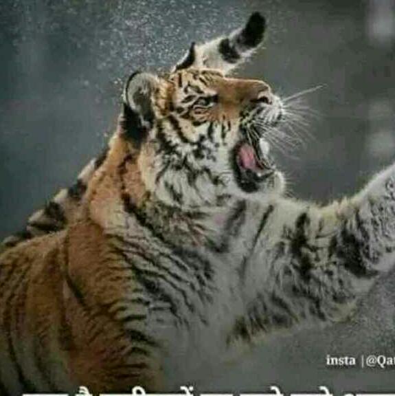 Bãšt ???fříĕñď?