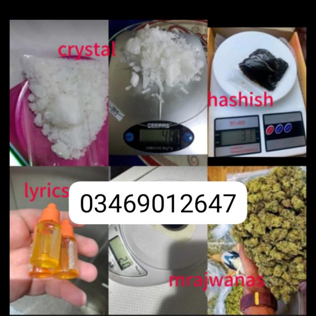 FOREX GURU BINARY FX Whatsapp group