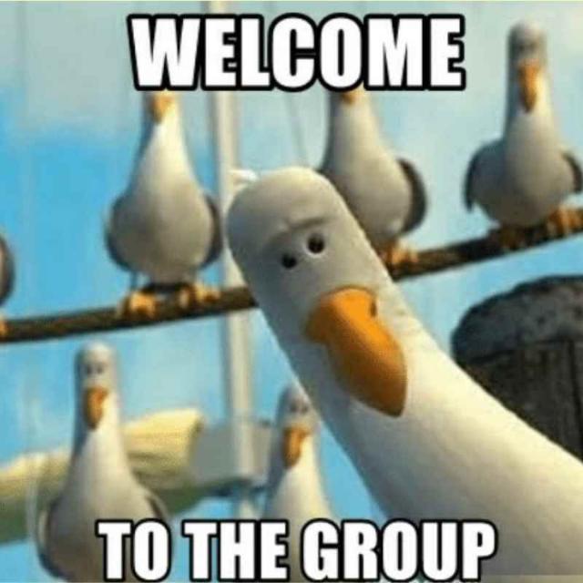 Meme Chat Group