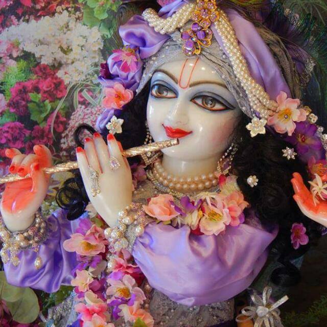 जय श्री राधे राधे राधे