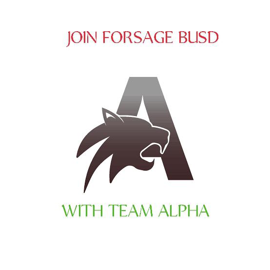 FORSAGE TEAM WORK OWN