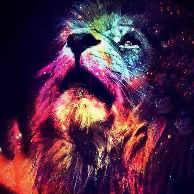 HD AMAZING WALLPAPERS