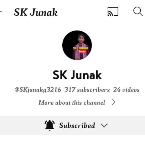 Sub 4 Sub