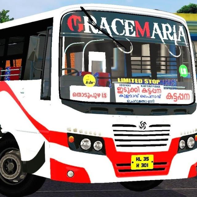 ?BUS Siulator mod livery?