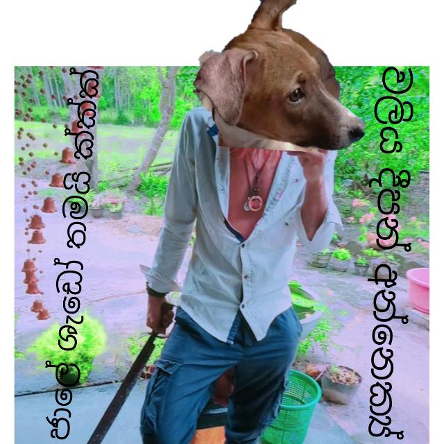 wali ep