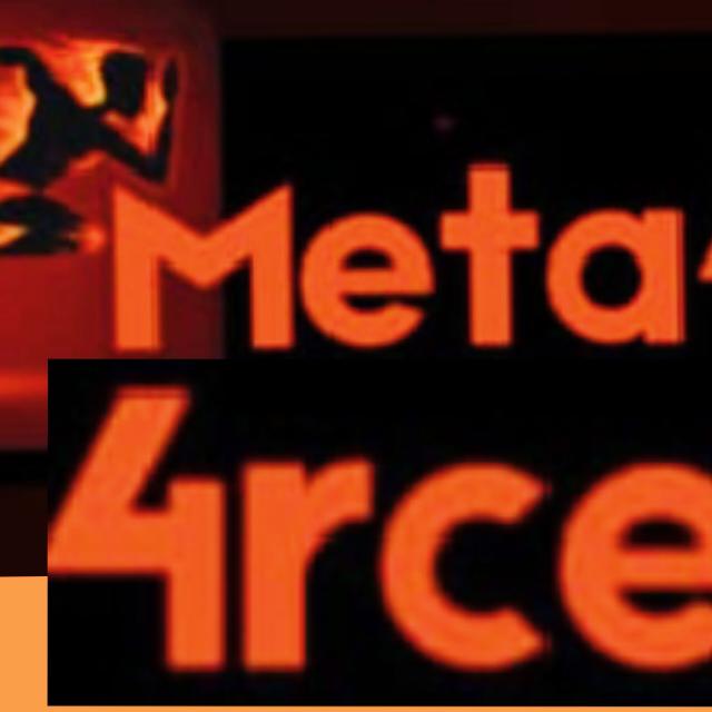 Meta4rce group members