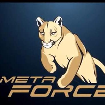 METAFORCE INGANTACCIYAR HANYAR SAMUN KUDI BA YAUDARA