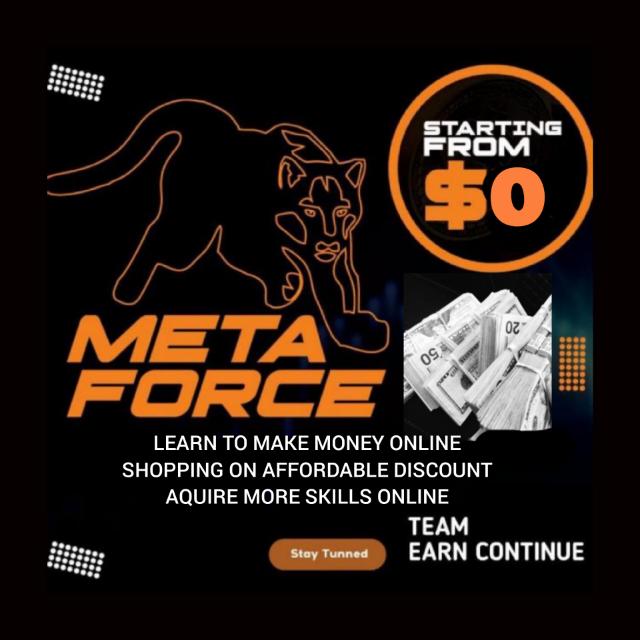 Meta Force Millionaires
