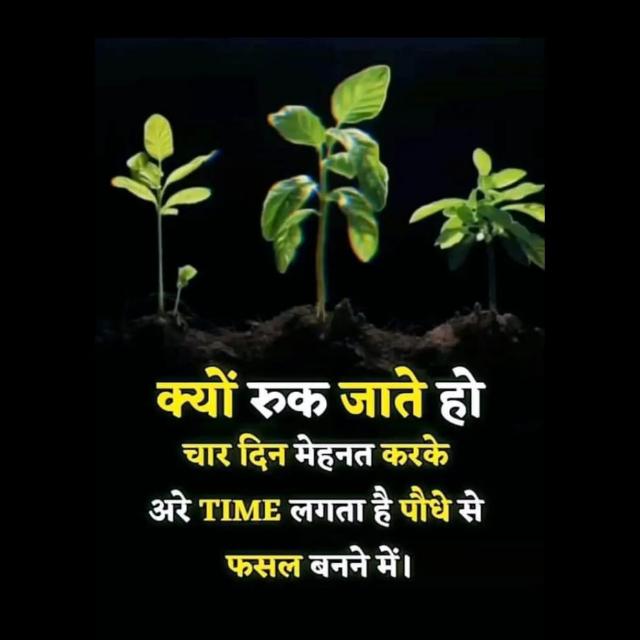 RSGIO29 FUTURE PLAN Whatsapp group