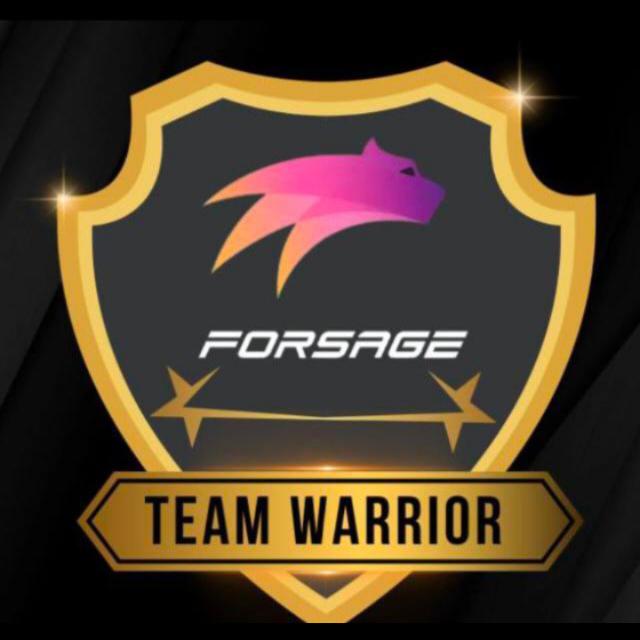 Team werrior Network marketing. forsage ?