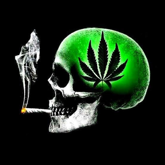 weed time Whatsapp group