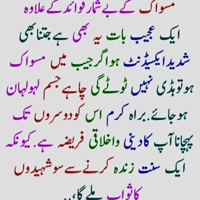 Al Ali online Quran Acade