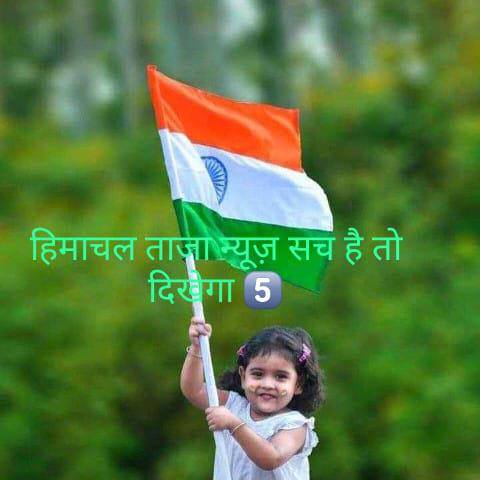 हिमाचल ताजा न्यूज 5⃣