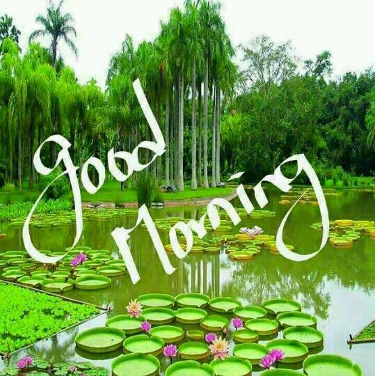 Earn money 635 rupaye