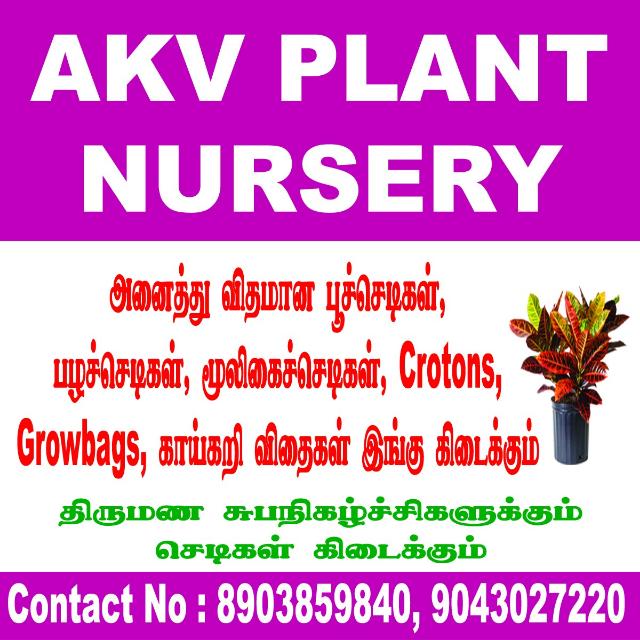 AKV NURSERY 