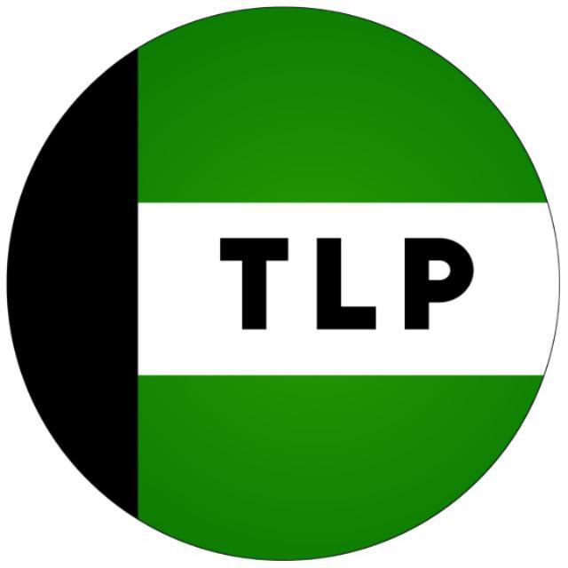 رضوی میڈیا