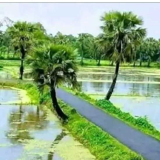 ചിരിയും ???തമാശയും?