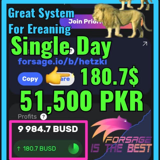International Online Earning Platform