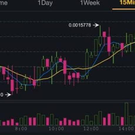 Daily 100 with Signals Whatsapp group