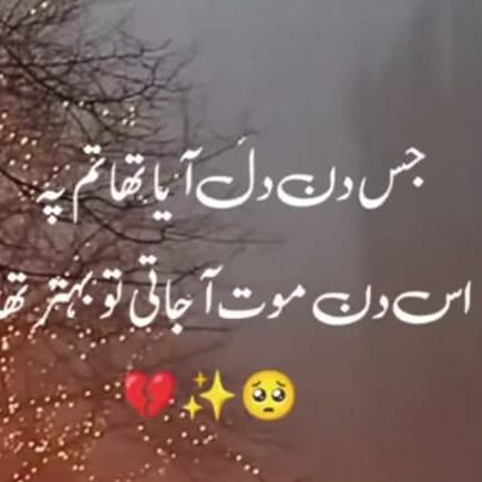 محبت تم سے نفرت ھے ??
