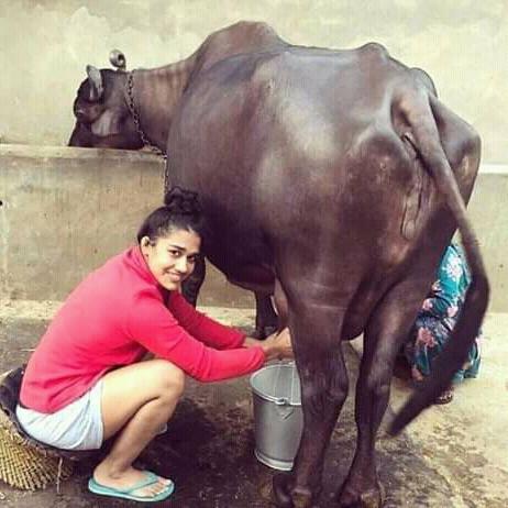 कसूते छोरे