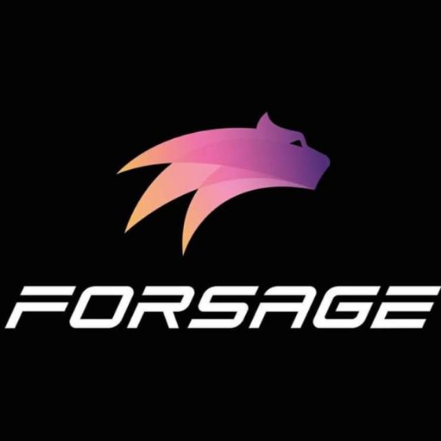 Online Earning (Forsage)?