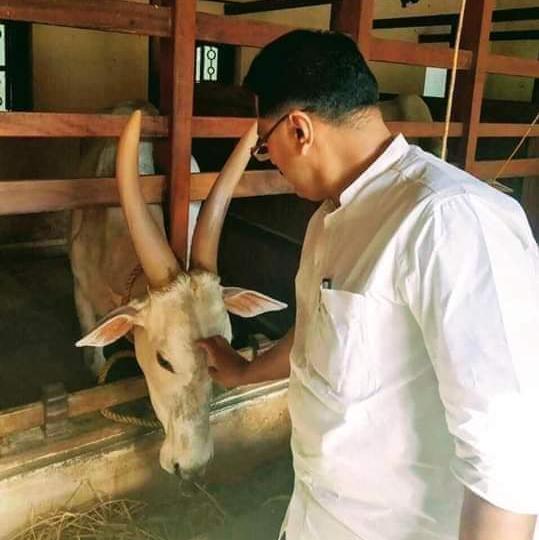 മലപ്പുറം സുൽത്താൻ 