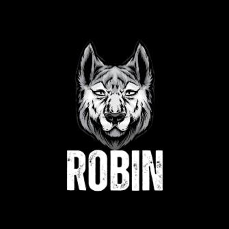 @ＲＯＢＩＮ 