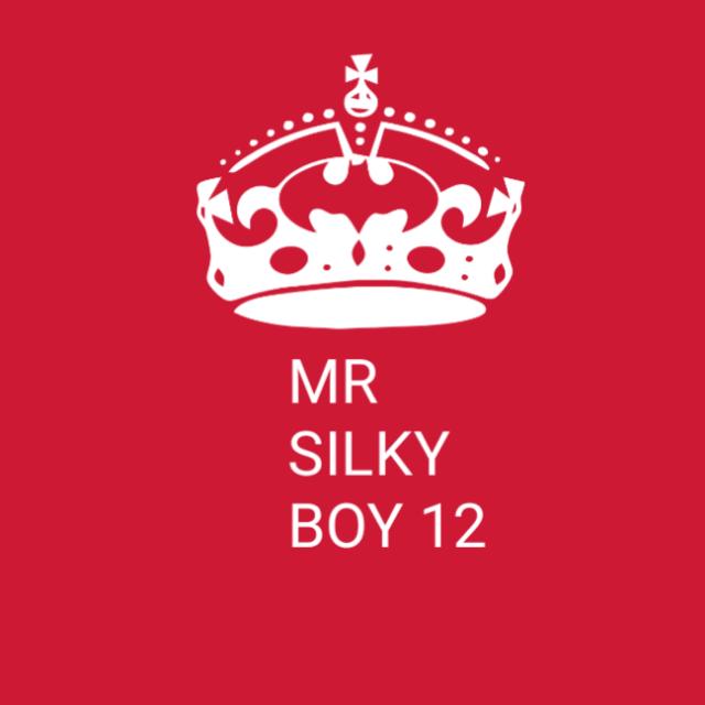Mr silky boy 12
