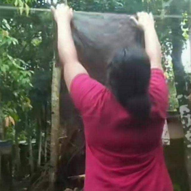 പാവാട കാരി ??