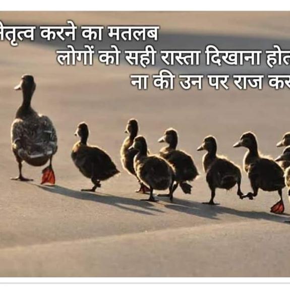 ??Hum??safar 