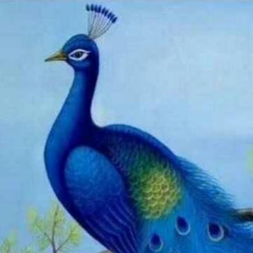 ? விலங்குகள்?உலகம் ?