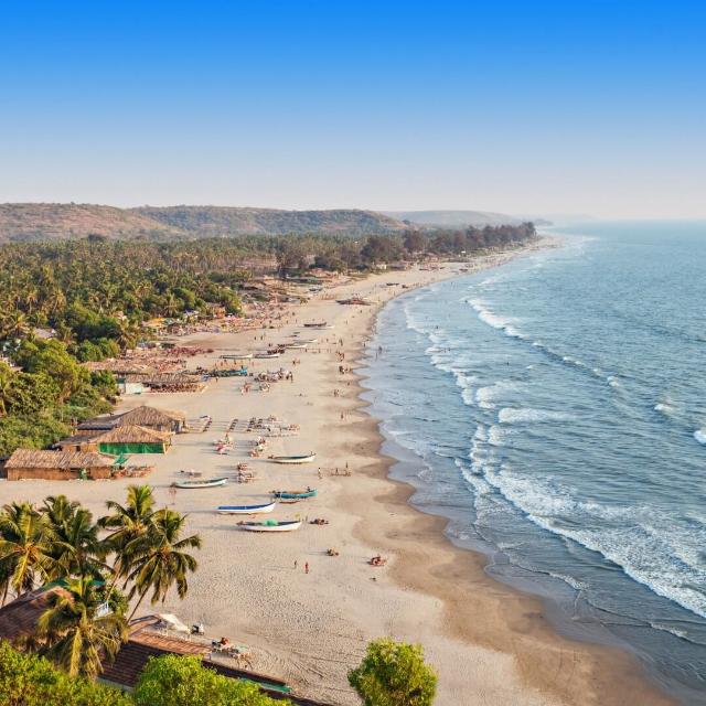 ?️?️Goa?️?️
