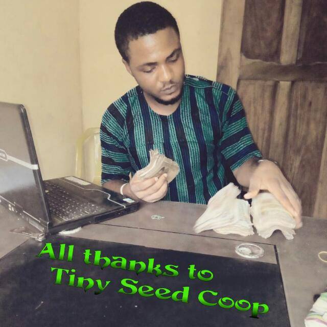 TINY SEED COOP (GROUP)3