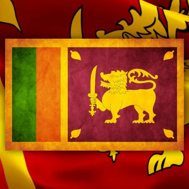 YT DRAGON X Whatsapp group