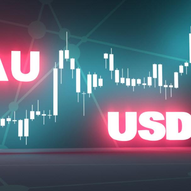 ?Forex Kanfarm Signal?