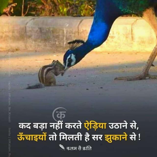 ????? ???????