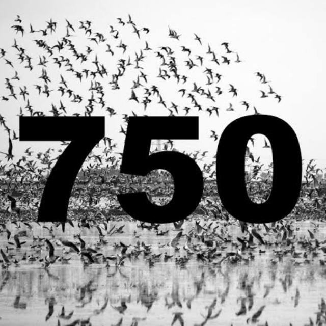 750__fans_____club??RAVAN