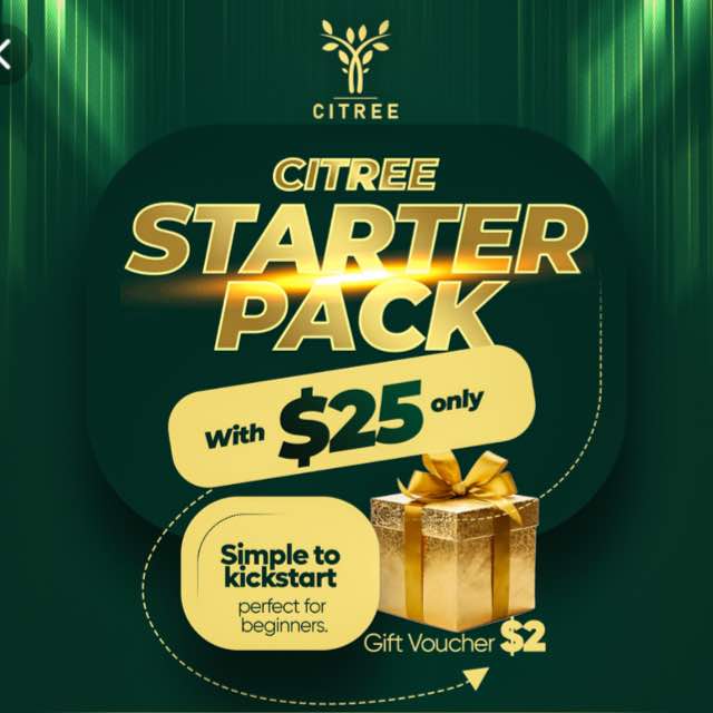 CITREE Holdings Global?